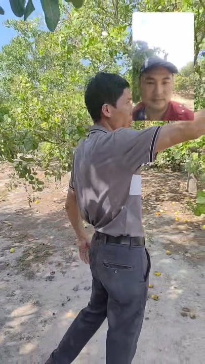 Đất vườn Ia Lâu, Gia Lai 100.000m² - Cơ hội đầu tư dài hạn!