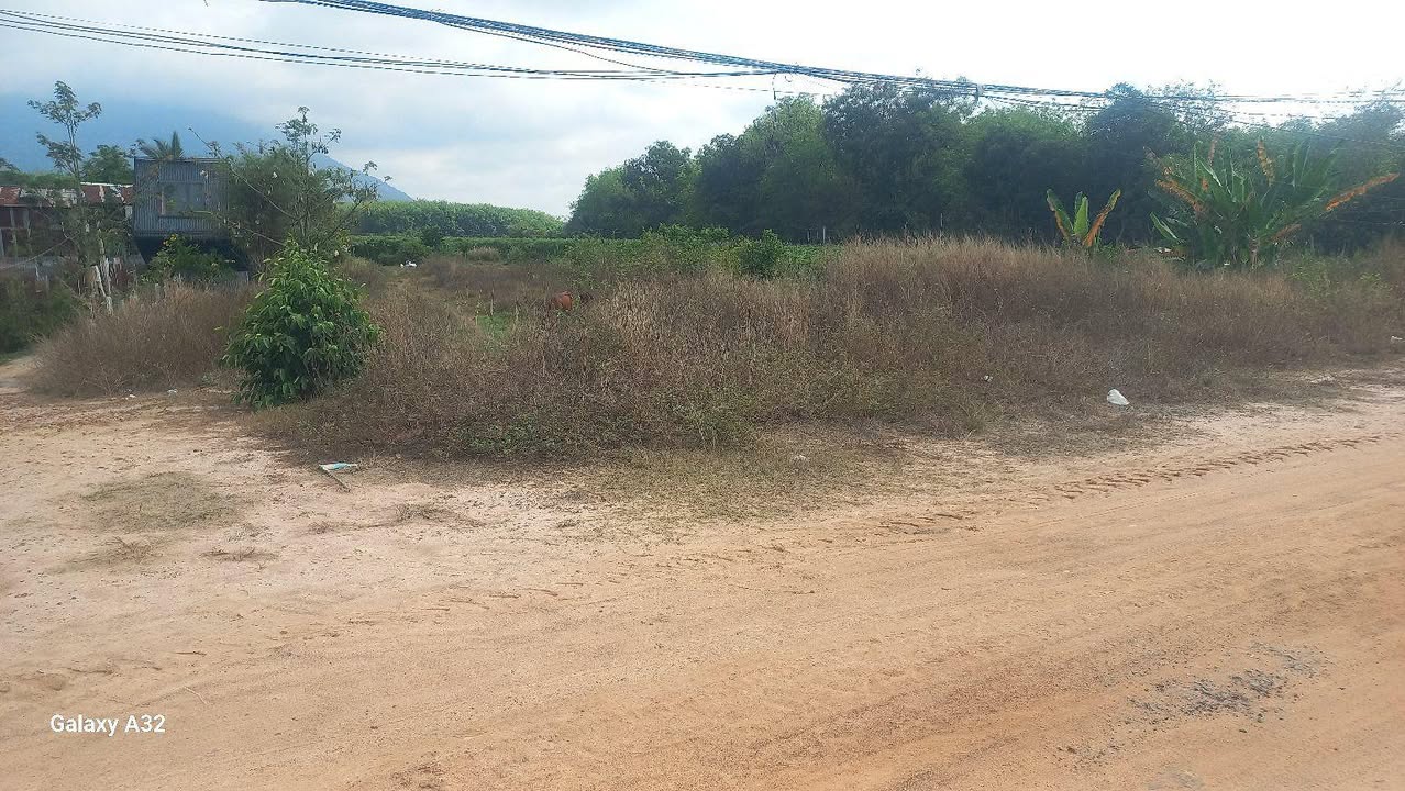 Bán Đất Vườn TP. Tây Ninh 1.700m² Giá 1.2 Tỷ - Nghỉ Dưỡng Lý Tưởng!