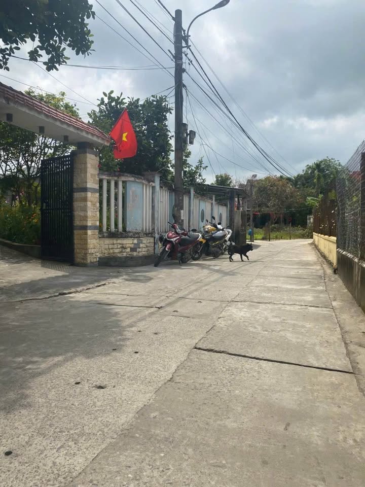 Đất nền Phong Nam Hòa Xuân 120m² - Tiềm năng tăng giá!