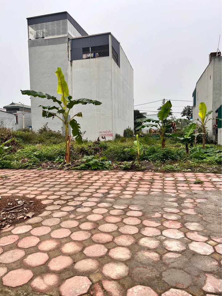 Đất nền Đồng Văn Xanh Phủ Lý 89m² - Sổ đỏ chính chủ