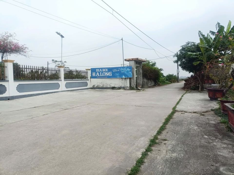 Đất nền Vũ Công, Kiến Xương (105m²) - Sổ đỏ sẵn, đường ô tô rộng rãi