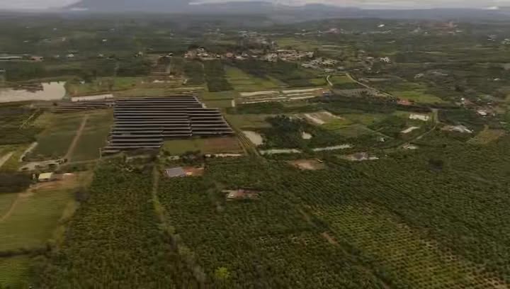 Đất Vườn 9.200m² Lâm Đồng - Vườn Sầu Riêng, Cafe Sinh Lời, Sổ Hồng