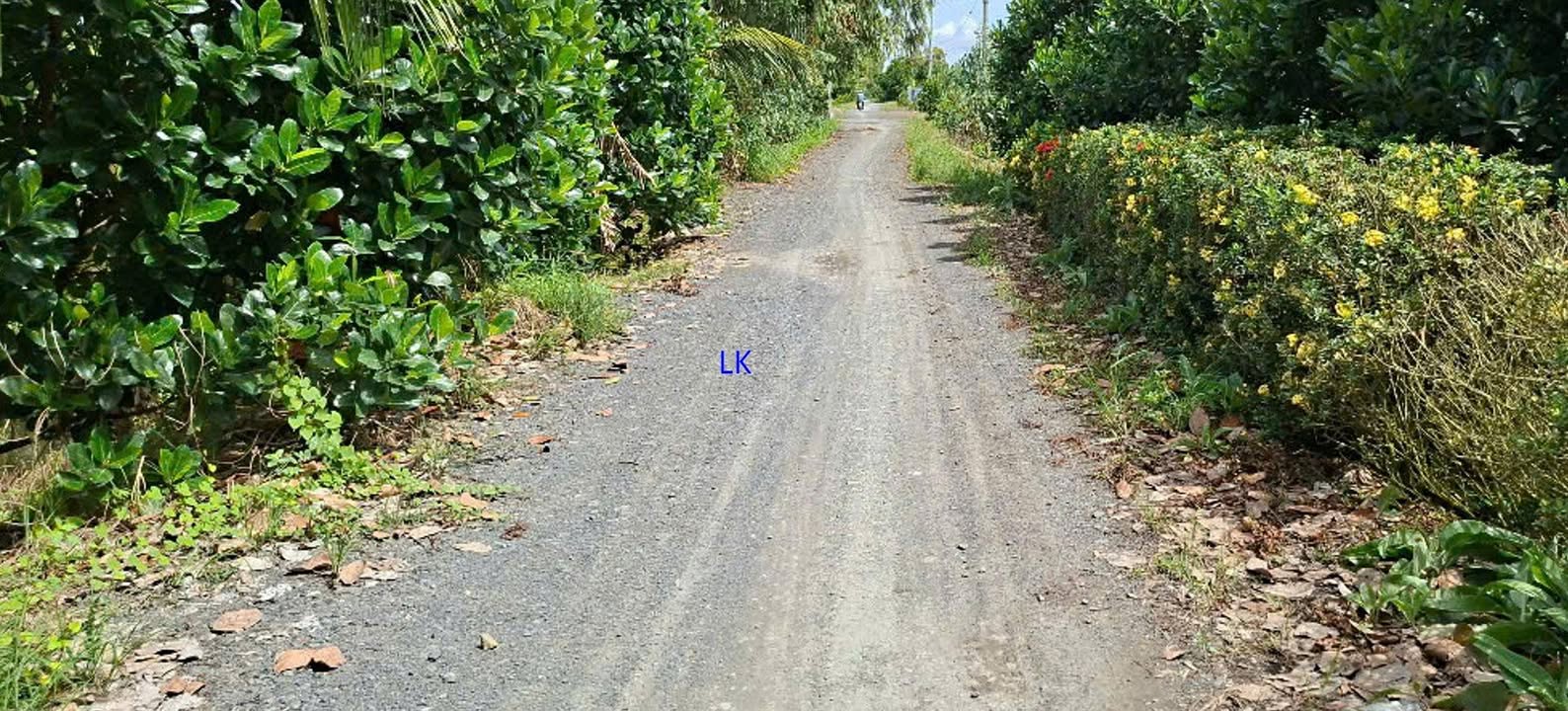 Đất Lúa Nhị Mỹ, Cao Lãnh 6500m² - Sổ Đỏ Chính Chủ, Giá Tốt!