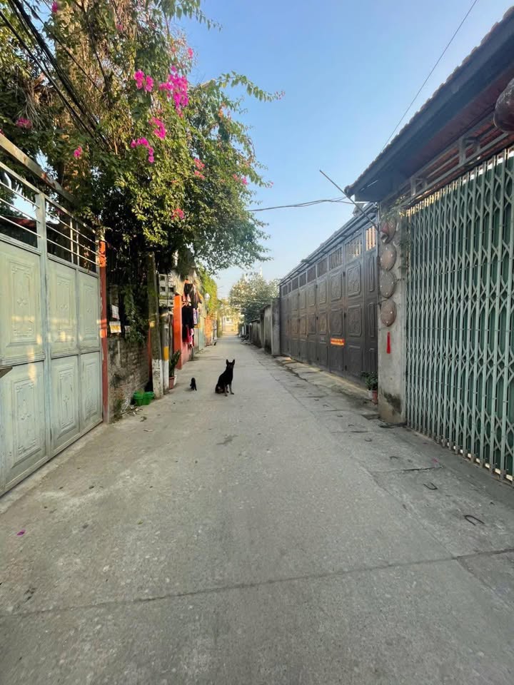 Đất nền 53m² Phương Bảng Hoài Đức - Vị trí đẹp, ô tô vào tận nơi!