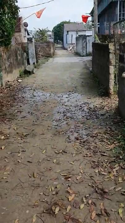 Đất nền 224m² Quỳ Châu, Nghệ An - Sổ hồng chính chủ, đường ô tô tránh!