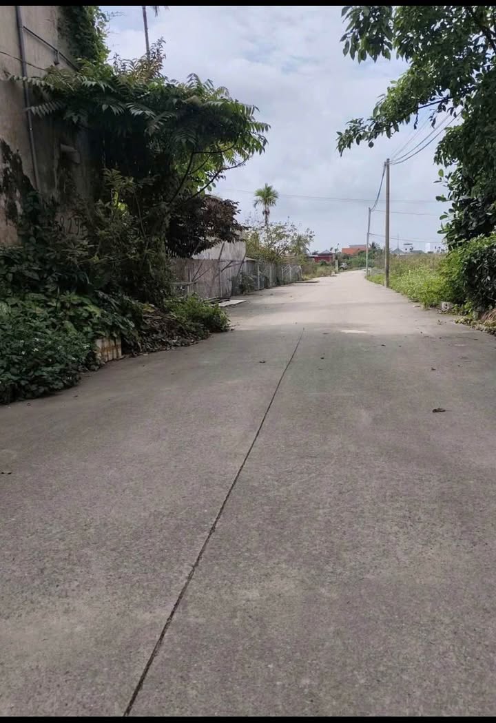 Đất nền 97.8m² Phường Vĩnh Niệm, Hải Phòng - Sổ đỏ, 2.x Tỷ