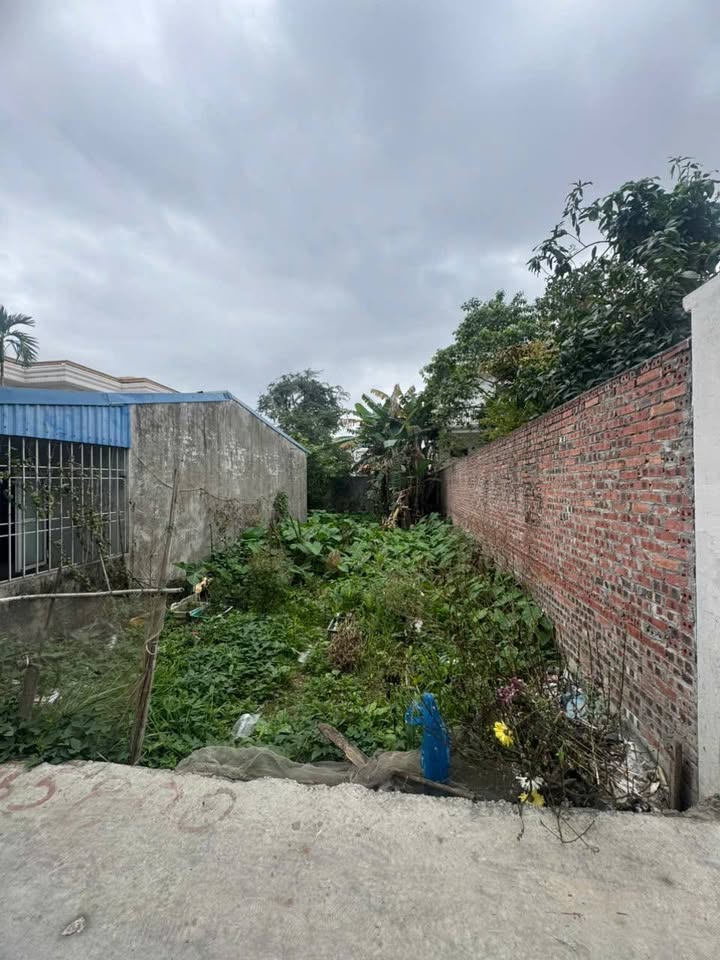 Bán Đất Ngõ To Đằng Hải, HP - 100m², Sổ Đỏ Vuông Vắn, Giá Tốt