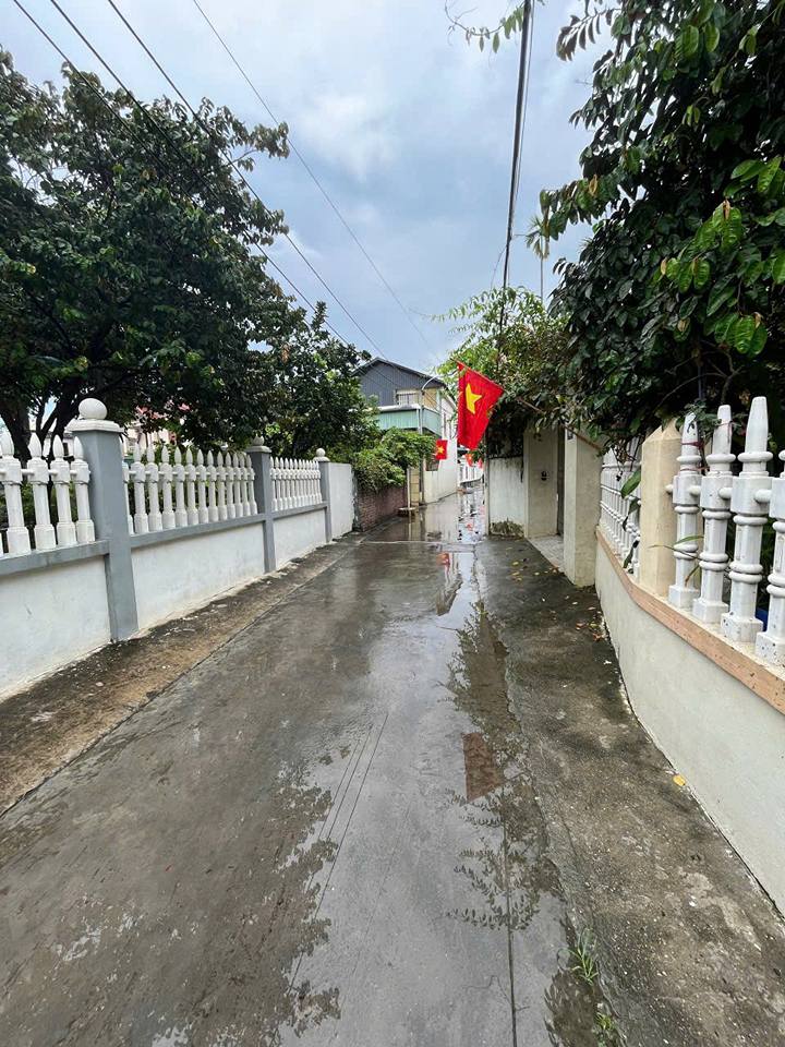 Bán đất 530m² An Dương, Hải Phòng - Ngay chợ Tân Tiến, 2.3 tỷ