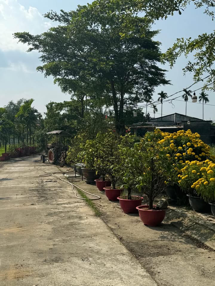 Bán Đất An Thắng Đà Nẵng 100m² - View Đồng Lúa Mát Mẻ, Sổ Đỏ Sẵn