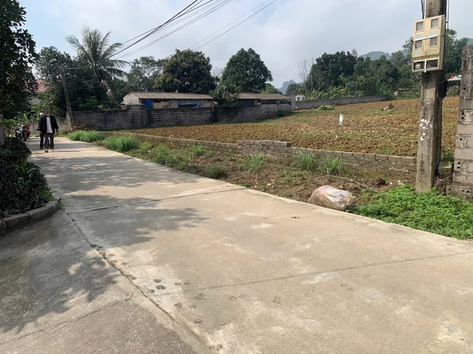 Đất nền Liên Sơn Hòa Bình 2248m² - Tiềm năng tăng giá vượt trội!