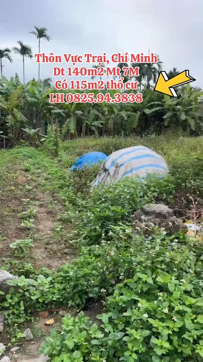 Bán Đất Thổ Cư 140m² Xã Chí Minh, Hải Dương - Sổ Đỏ Sẵn Sàng