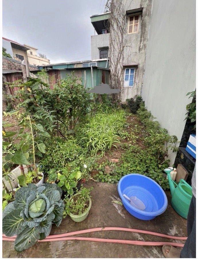 Đất Thúy Lĩnh 30m² - Sổ Đỏ Sẵn Giao Dịch, Ô Tô Đỗ Cổng