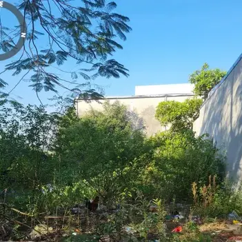 Đất nền Vũ Hữu Lợi, Nam Trực 100m² - Sổ đỏ chính chủ!