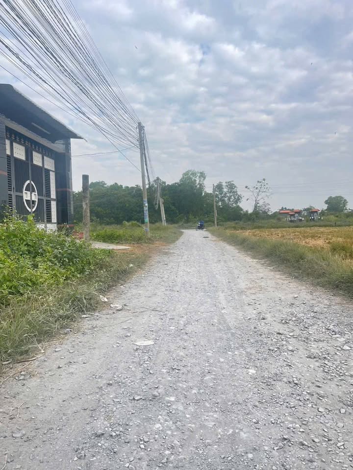 Đất nền Ấp Bình Tiền 2, Long An 550m² - Tiềm năng tăng giá vượt trội!