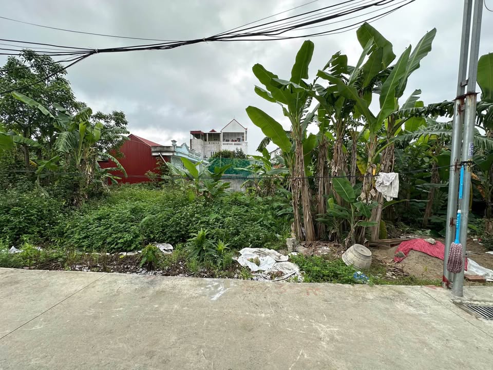 Đất nền Đẩu Sơn, Kiến An 60m² giá 1.38 tỷ - Sổ đỏ chính chủ!