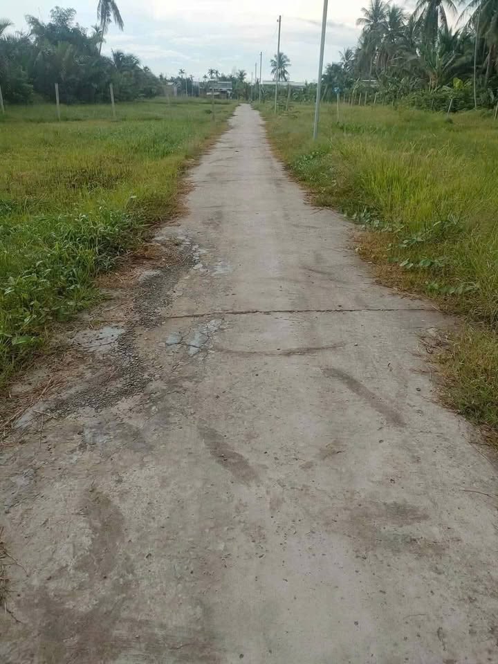 Đất nền Xã Hữu Định Châu Thành Bến Tre 683m² Sổ đỏ chính chủ