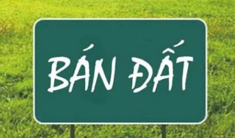 Đất nền mặt đường Lưu Hữu Phước 80m² - Giá tốt đầu tư