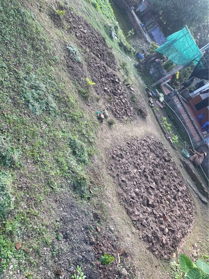 Đất Vàng Bối Tây, Nam Định - 167m², Ngay Gần Đền Trần, Giá Tốt