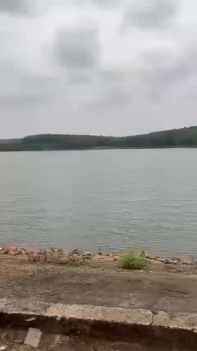 Cho thuê 7ha Đất Đồng Phú, Bình Phước - Hợp đồng 10 năm