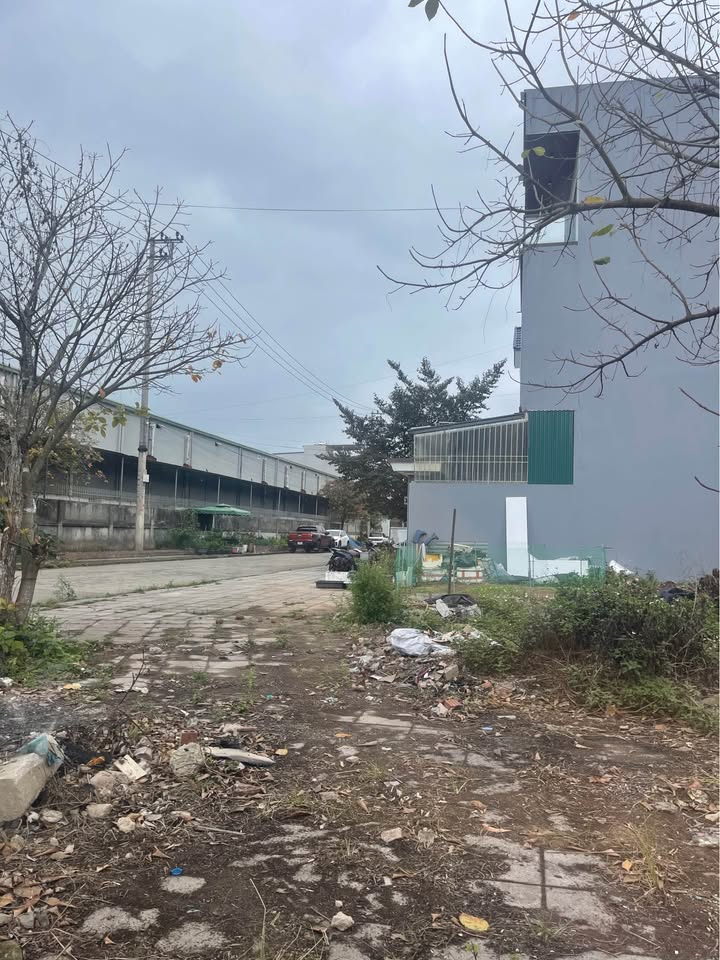 Đất nền Hòa Lạc Móng Cái 137m² giá 5 tỷ - Lô góc vị trí đắc địa