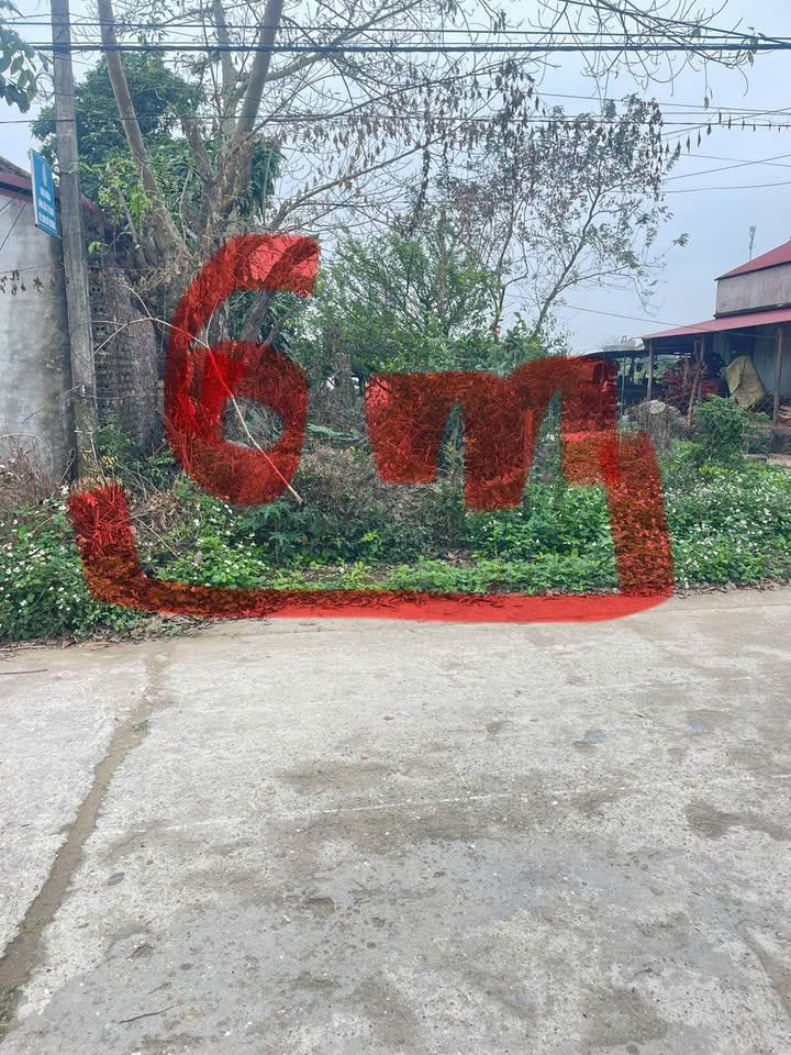 Đất nền Thôn Đại Đồng 1, Danh Thắng 179m² - Đất thổ cư 100%!