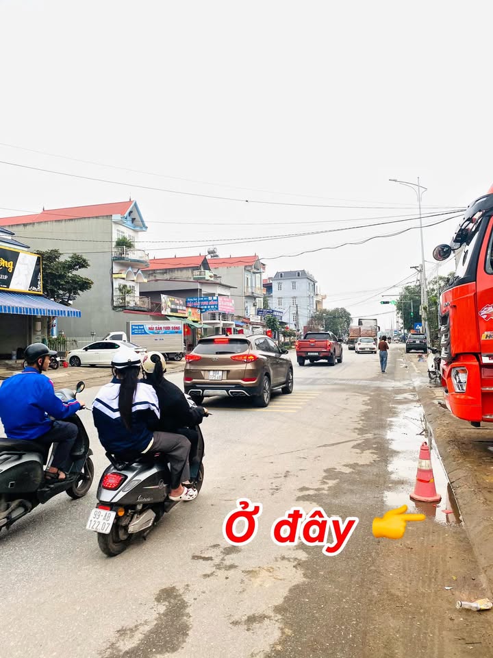 Đất Nền Mặt Tiền Tỉnh Lộ 298, Tân Yên, Bắc Giang - 110m² Giá Tốt