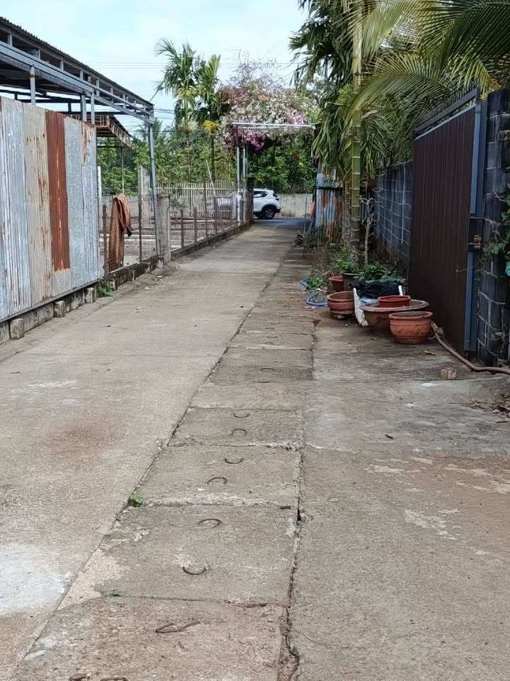 Đất nền Thôn 4 Ea Kao 280m² - Tiềm năng tăng giá vượt trội!