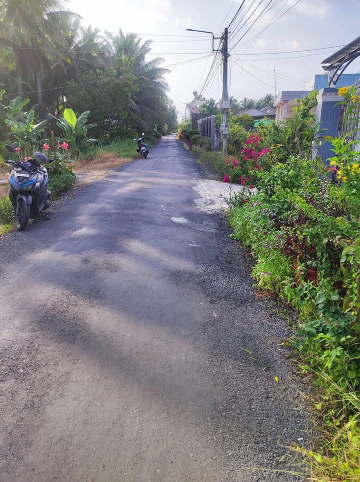 Đất nền Gò Công 336m² giá 650 triệu - Pháp lý rõ ràng