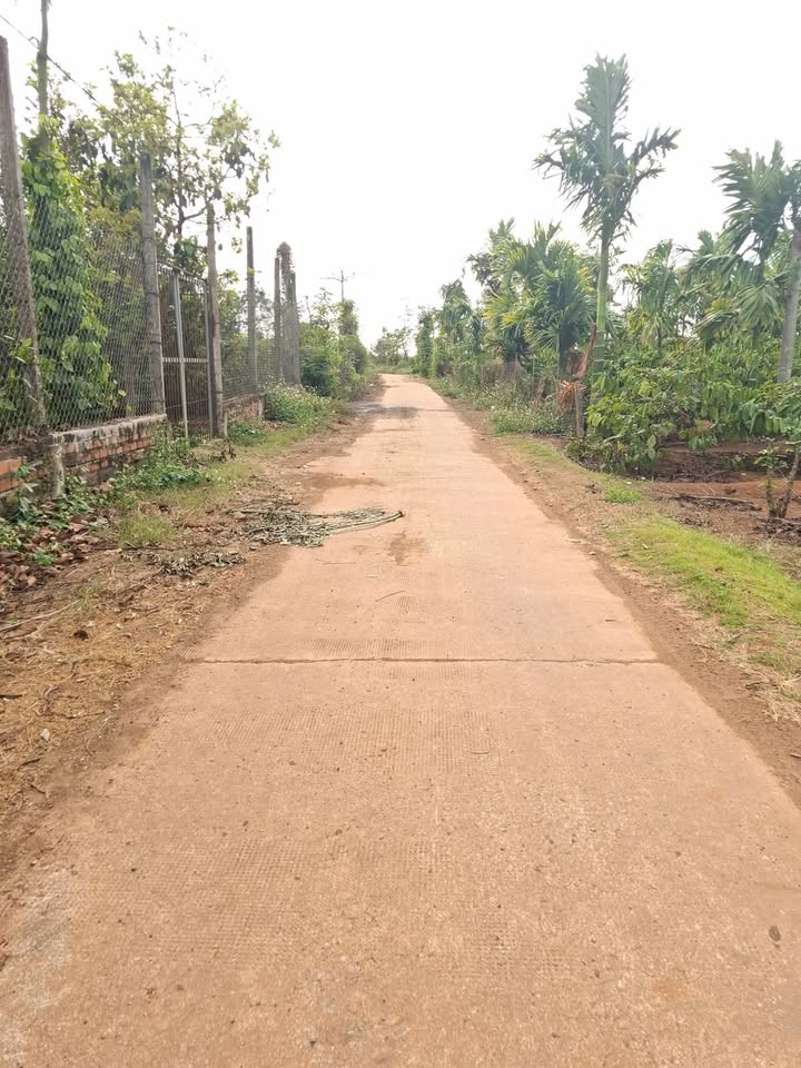 Đất nền Hòa Tiến Krông Pắc 720m² chỉ 2.5 tỷ - Tiềm năng tăng giá!