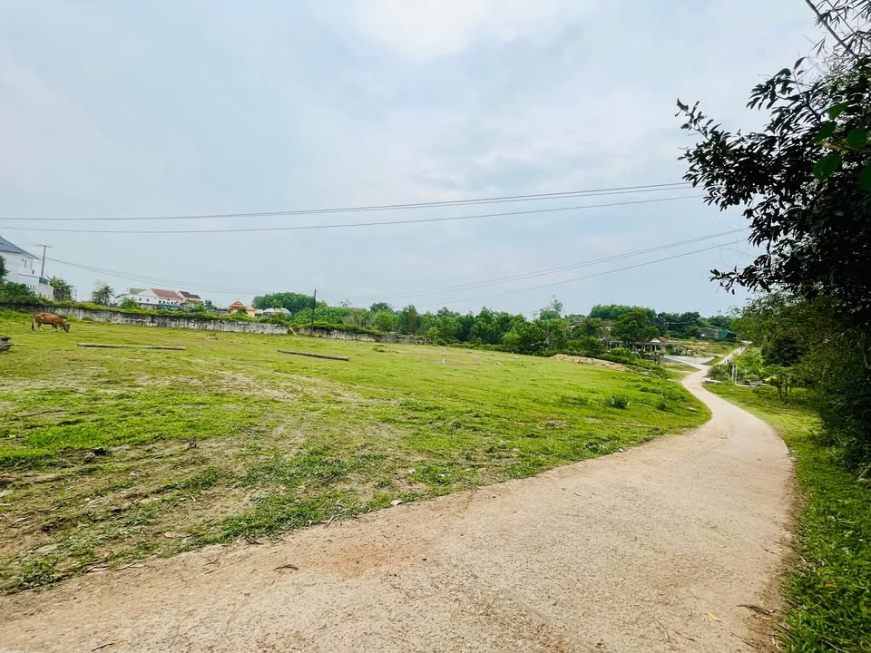 Đất 2000m² Thủy Phương, Huế - Giá Ngân Hàng 4.8 Tỷ, Thổ Cư 1500m², Phù Hợp Kho Xưởng