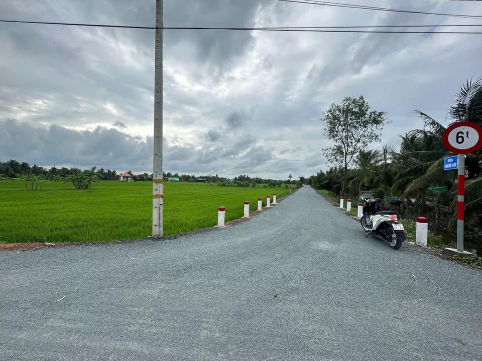 Đất lúa Tân Nhựt Bình Chánh 1500m² - Tiềm năng tăng giá vượt trội!