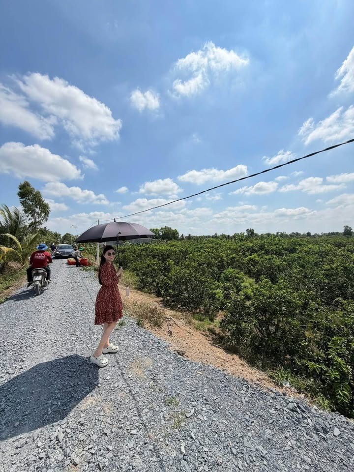 Đất Vườn Thạnh Lợi 650m² - Sổ Đỏ Riêng, Giá Chỉ 750 Triệu