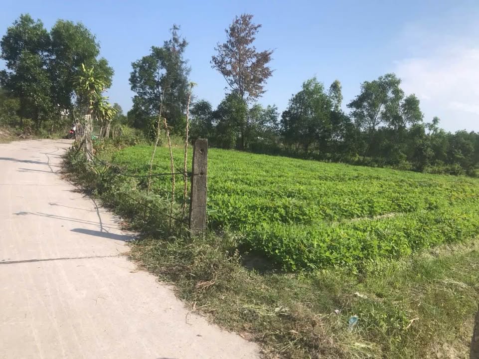 Đất Vườn 900m² Tam Phú, TP. Thủ Đức - Sổ Đỏ Lâu Dài, Giá Đầu Tư 4.x Tỷ