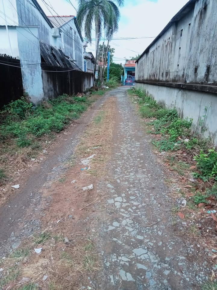 Đất nền Mỹ Hòa, Cầu Ngang 399m² - Tiềm năng tăng giá!