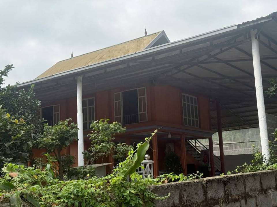 Đất nền Mỹ Hòa Tân Lạc 447m² - Sổ đỏ chính chủ, view cực thoáng!