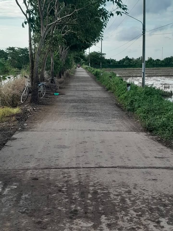 Đất nền Long Xuyên 1000m² giá 1.25 tỷ - Đường to ô tô tận nơi!