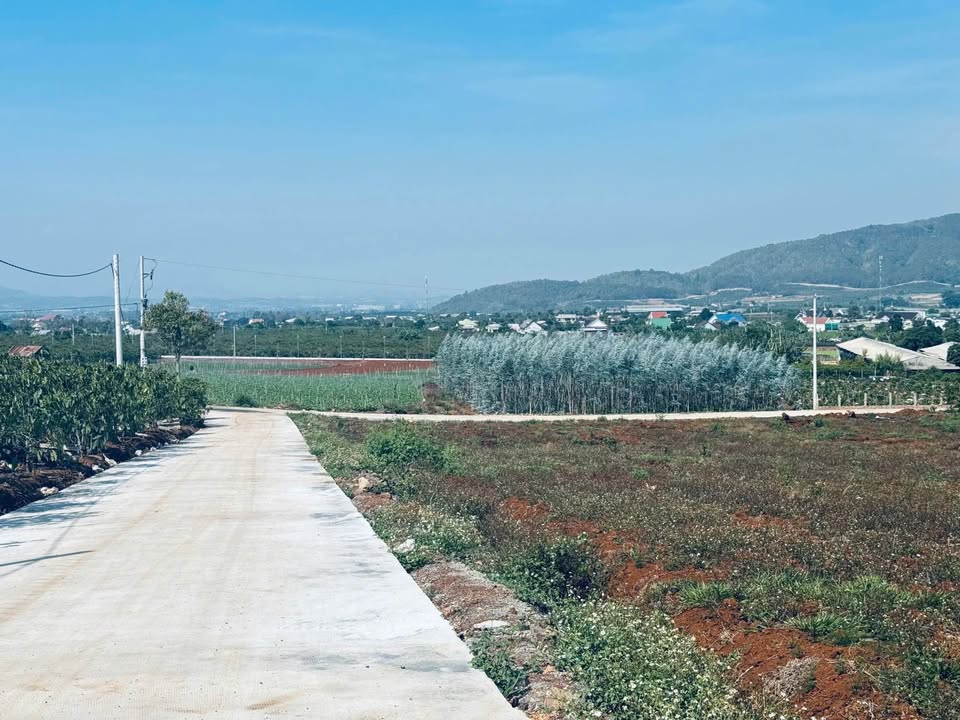 Đất nền Liên Hiệp Đức Trọng 150m² giá 1.15 tỷ - Sổ đỏ chính chủ