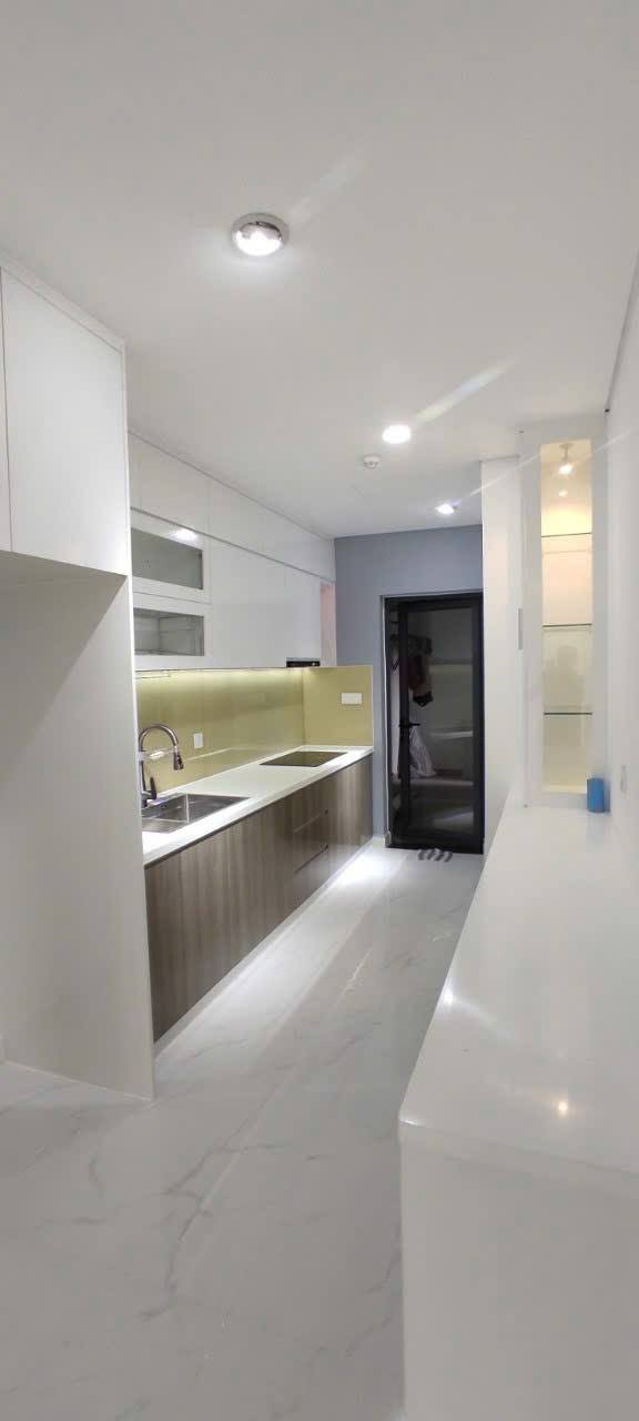 Cho thuê Căn hộ Diamond Alnata Celadon City Tân Phú 3PN - Giá tốt