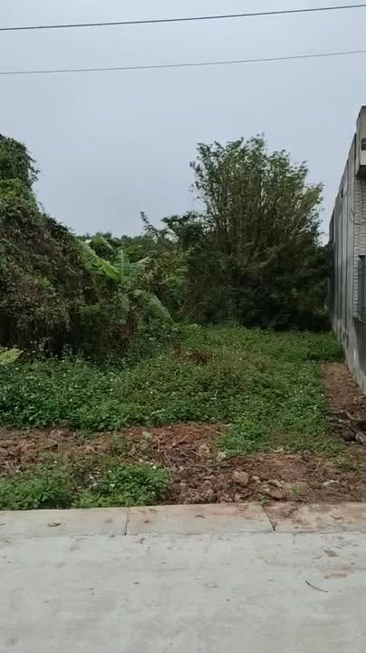 Đất nền Chính Lý, Lý Nhân, Hà Nam 100m² - Sổ đỏ chính chủ!