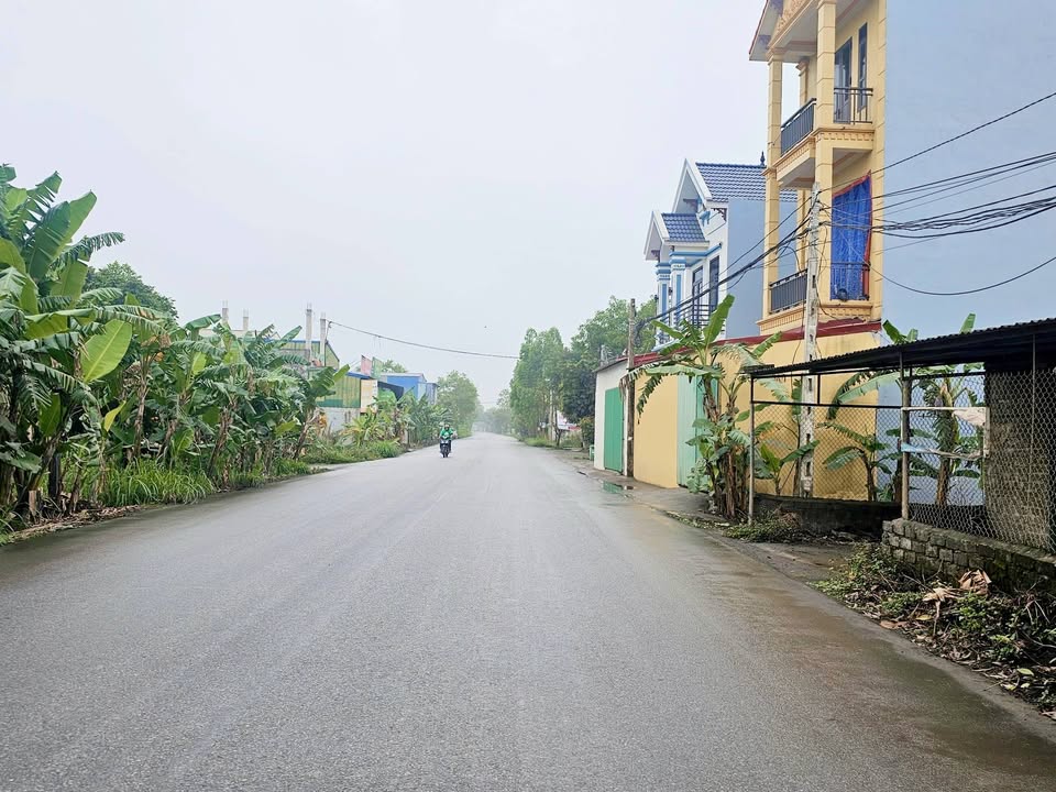 Đất nền Gia Viễn 120m² - Tiềm năng tăng giá vượt trội!