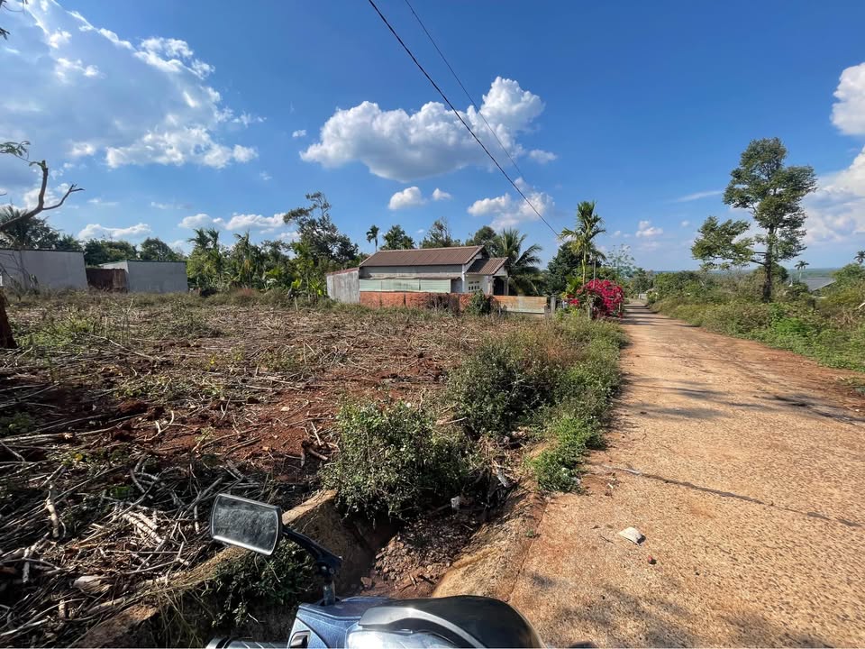 Đất mặt tiền Phường Tân Lập 575m² giá 4 tỷ - Sổ đỏ chính chủ