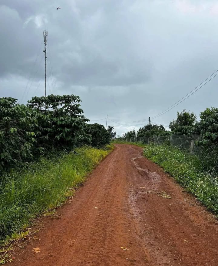 Đất nền Lộc Phú, Bảo Lâm 3200m² 1.75 tỷ - Sổ đỏ chính chủ