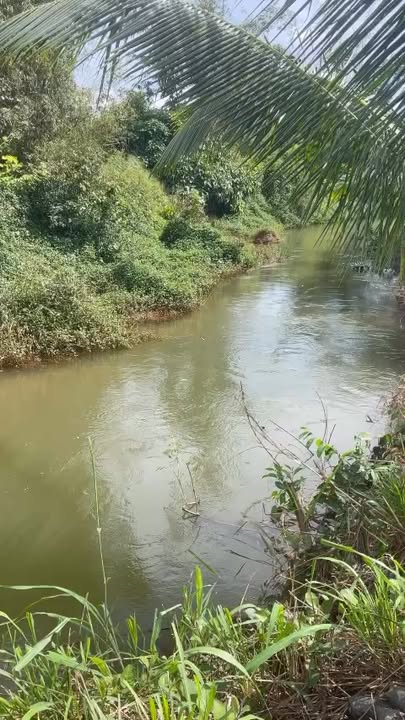 Đất nền Hẻm 70 Cao Bá Quát Bảo Lộc 500m² – Sổ đỏ chính chủ