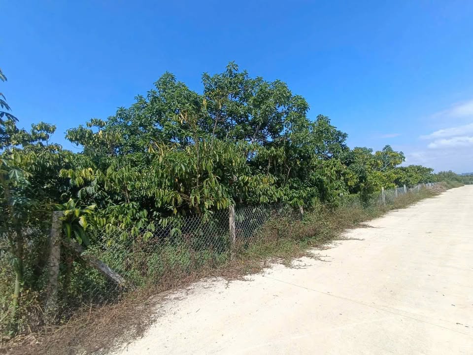 Đất Vườn 2221m² Sổ Hồng Thổ Cư 300m² - Bảo Lâm, Lâm Đồng Giá Tốt