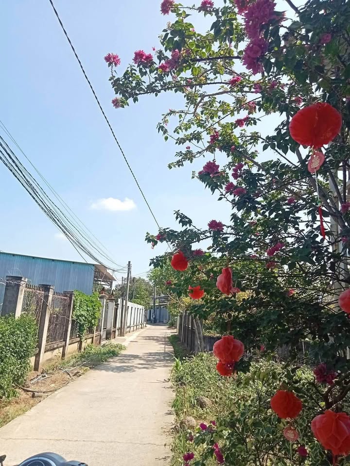 Nhà 140m² Ấp 1 Gia Canh, Định Quán - Sổ Hồng Riêng, Giá Tốt 1.3 Tỷ