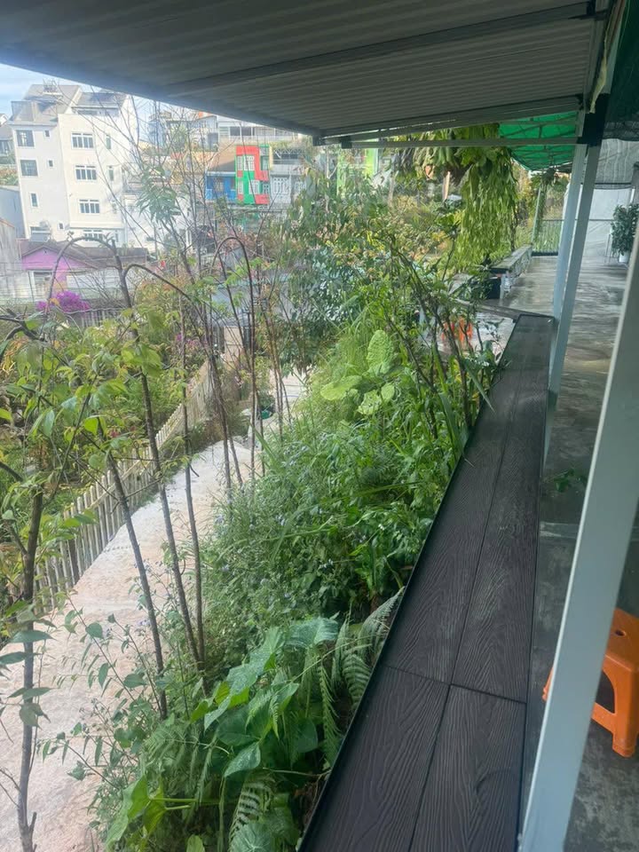 Mặt bằng sân vườn Yết Kiêu, Đà Lạt hơn 300m² - Thích hợp KD ngay!