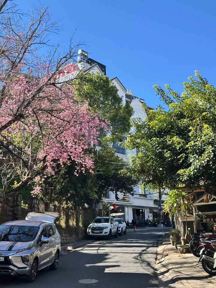 Cho thuê nhà mặt tiền Mai Hắc Đế Đà Lạt 16 phòng - Vị trí đắc địa