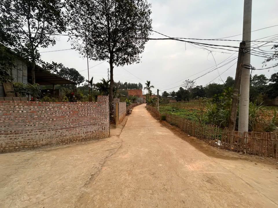 Đất nền 144m² Phú Thọ - Mặt tiền 7m, gần KCN, giá 1 tỷ