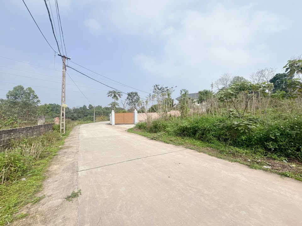 Đất Nền 124m² Khu 14 Xuân Lũng, Phú Thọ - Sẵn Sàng Xây Dựng