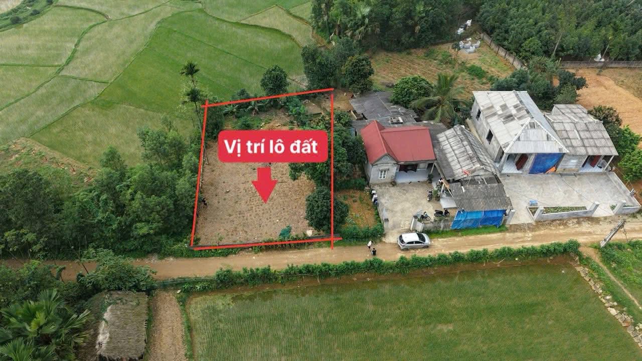 Đất nền Yên Lập Phú Thọ 480m² giá 400 triệu - Sổ đỏ chính chủ!